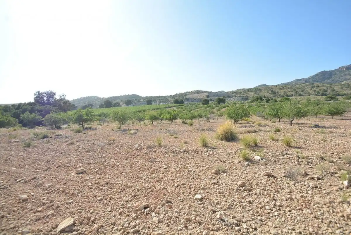 Terreni e lotti in vendita a Campo de Murcia, imagen 9