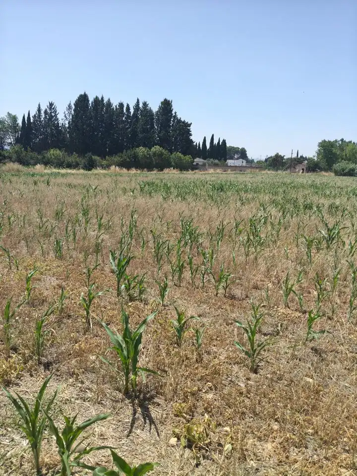 Terreni e lotti in vendita a Camino de Zamoray, imagen 3