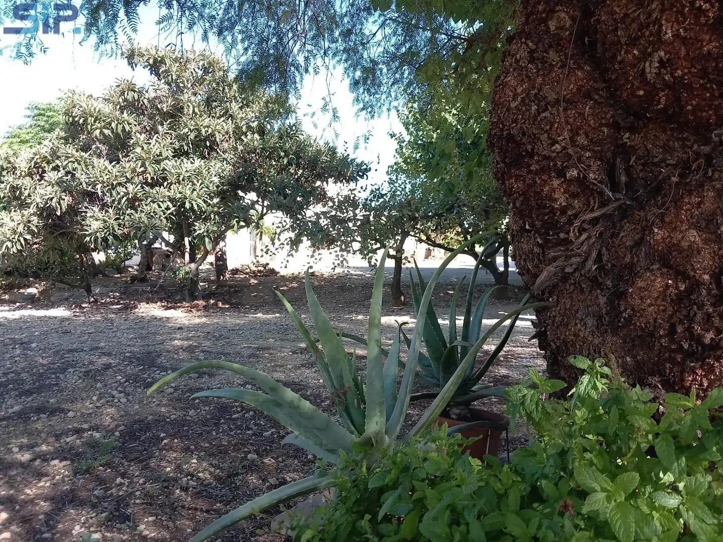 Garden of Houses for sale in Sant Martí Sarroca  with Storage room