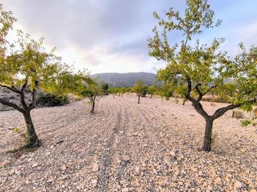 Terreno residencial en venta en El Pinós / Pinoso