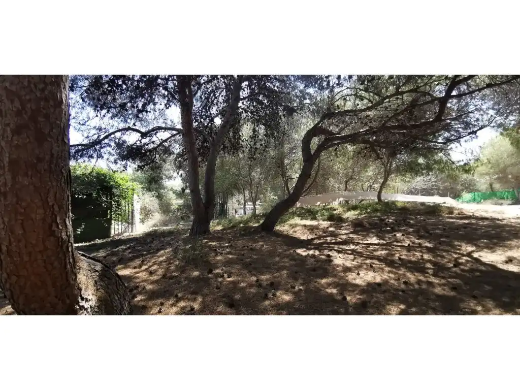 Casa o xalet en venda en Elche / Elx amb Jardí privat, Terrassa i Piscina