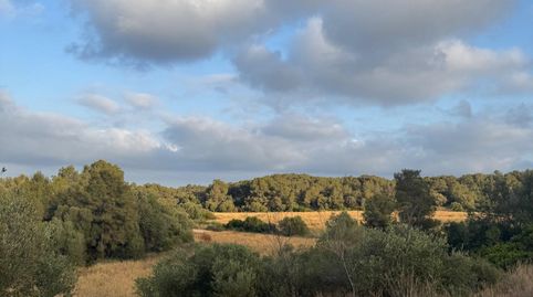 Photo 5 of Country homes for sale in Nord, Vilanova i la Geltrú