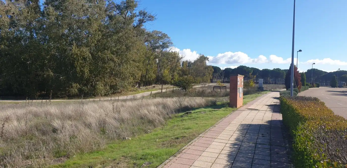 Terreni e lotti in vendita a Aldeamayor de San Martín, imagen 24