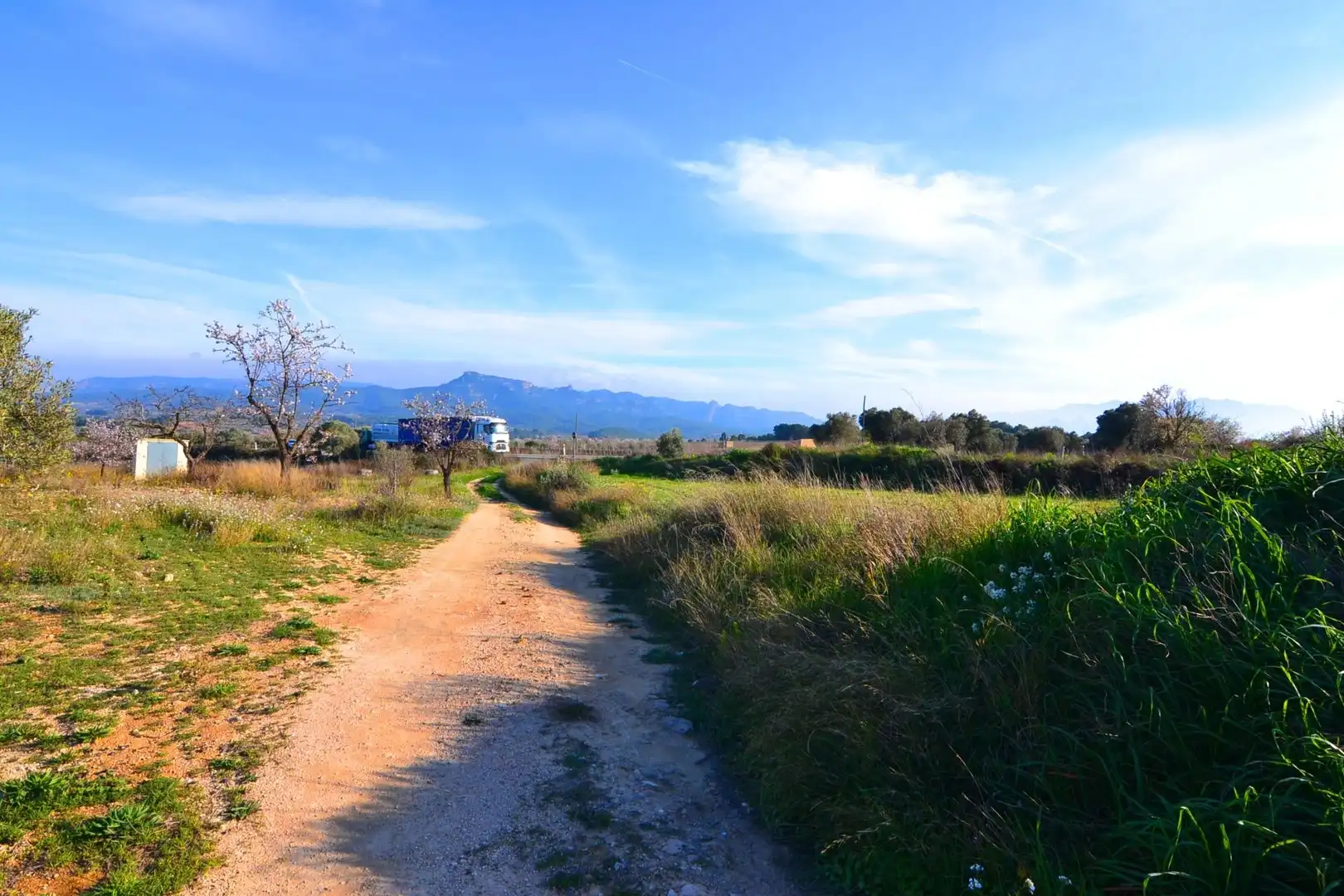 Rural land for sale in Gandesa, imagen 9