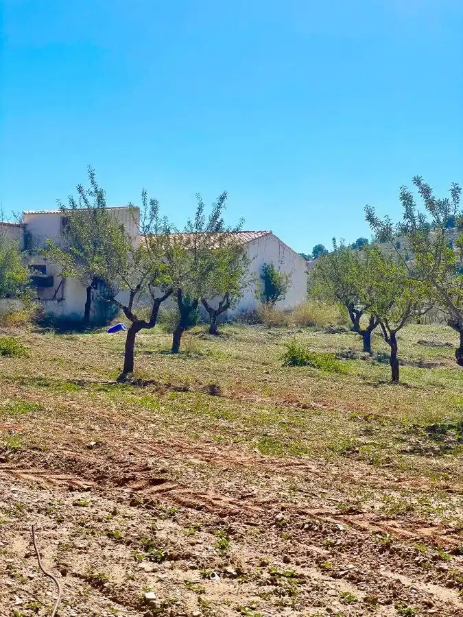 Residential land for sale in Vélez-Rubio, imagen 2
