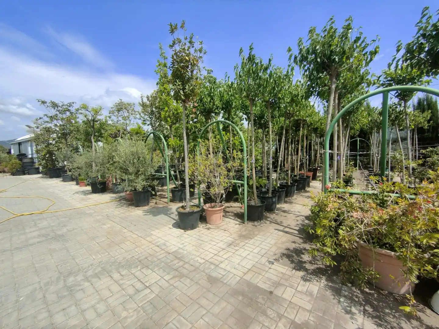 Terrace of Residential for sale in Esparreguera