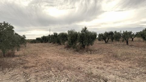 Bollullos Par del CondadoFinca Rustica, imatge 5