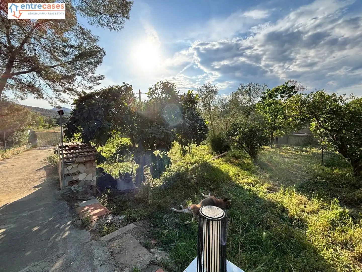 Jardí de Finca rústica en venda en Sagunto / Sagunt amb Aire condicionat, Terrassa i Piscina