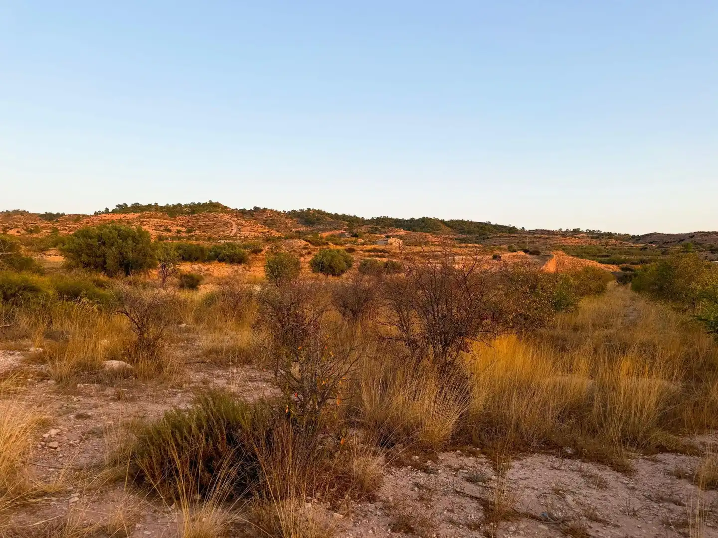 Lands and plots for sale in Abanilla, imagen 7