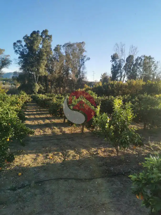Terreno rústico en venta en Casalpalma - Fahala, imagen 6