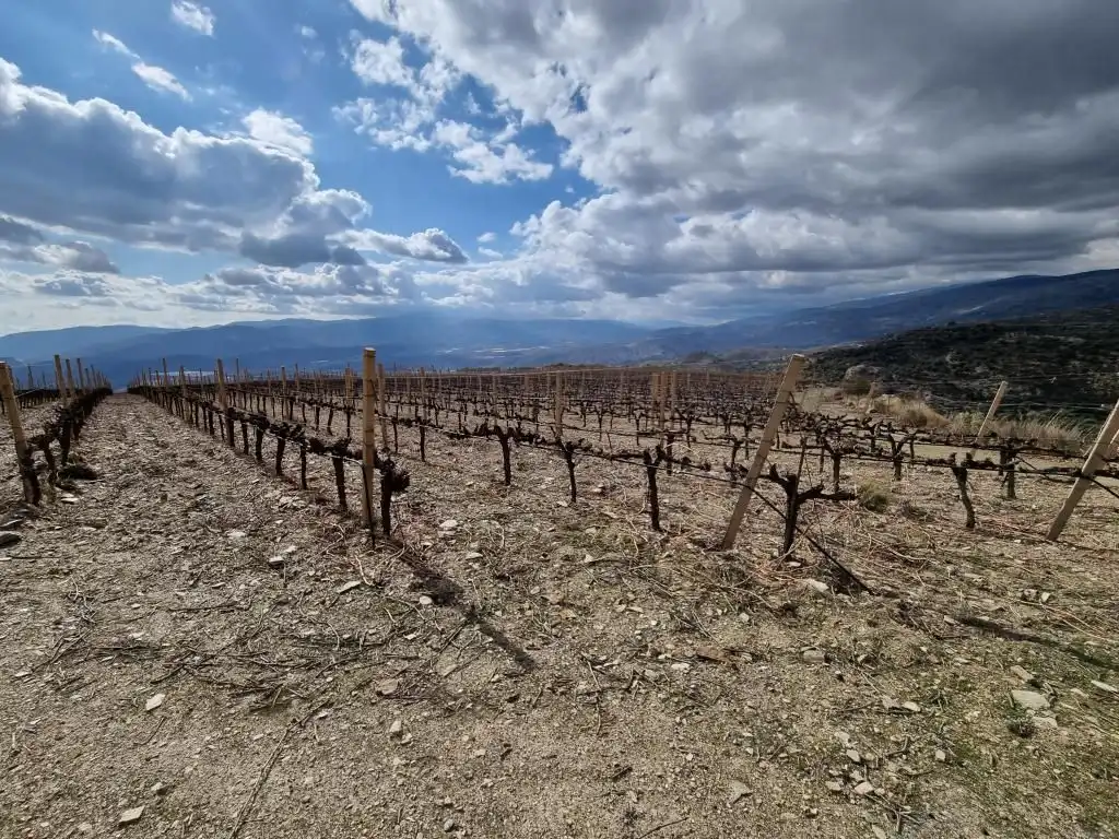 Terreni e lotti in vendita a Nevada, imagen 29