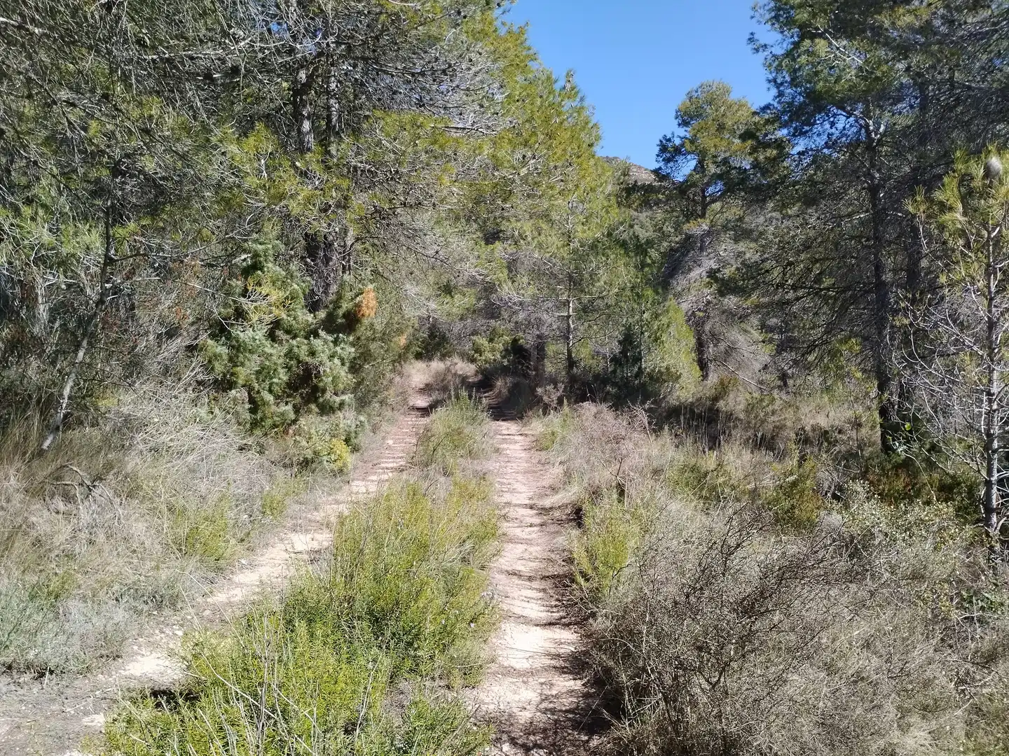 Terreno en venta en La Morera de Montsant