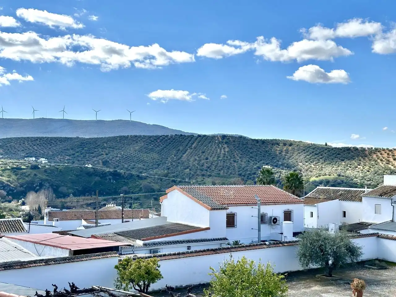 Casa amb jardí en venda a Villanueva de Algaidas, imagen 30