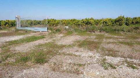 Foto 2 de Finca rústica en venta en Sueca ciudad, Valencia