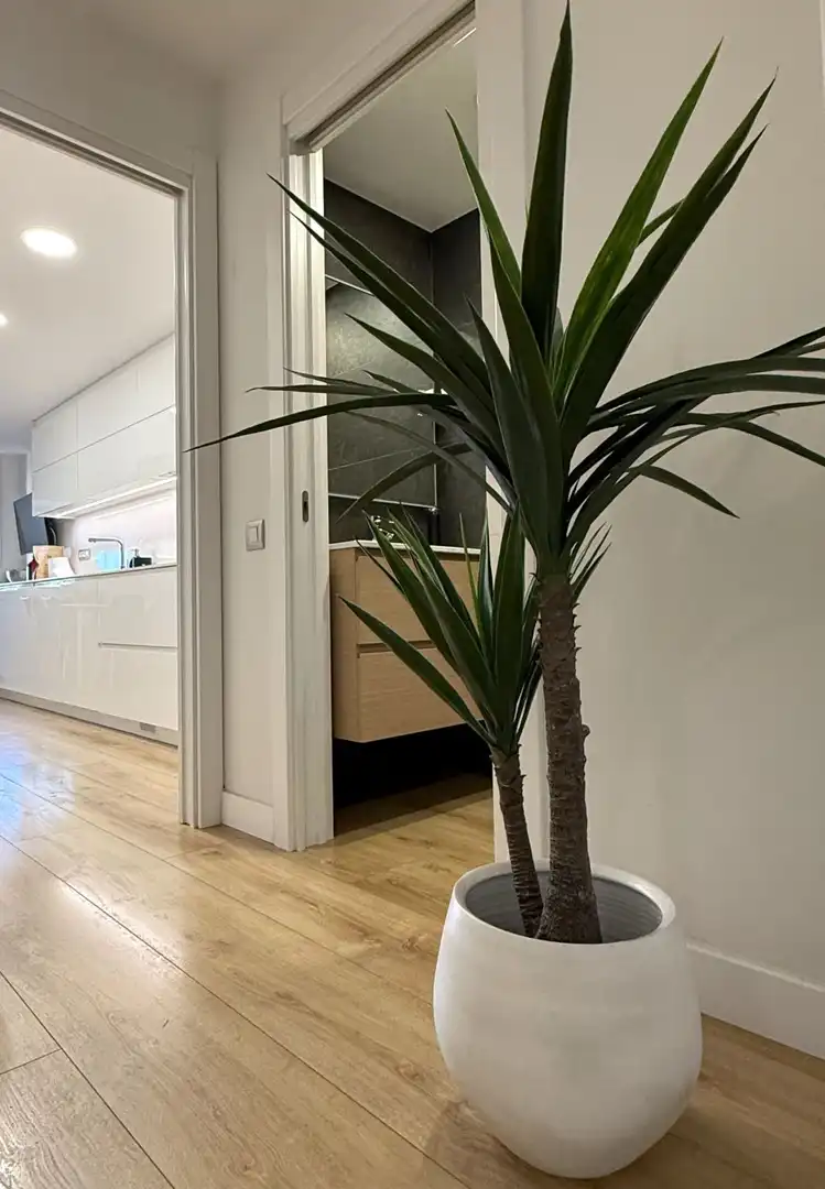 Casa o xalet en venda en Sant Boi de Llobregat amb Aire condicionat, Calefacció i Jardí privat