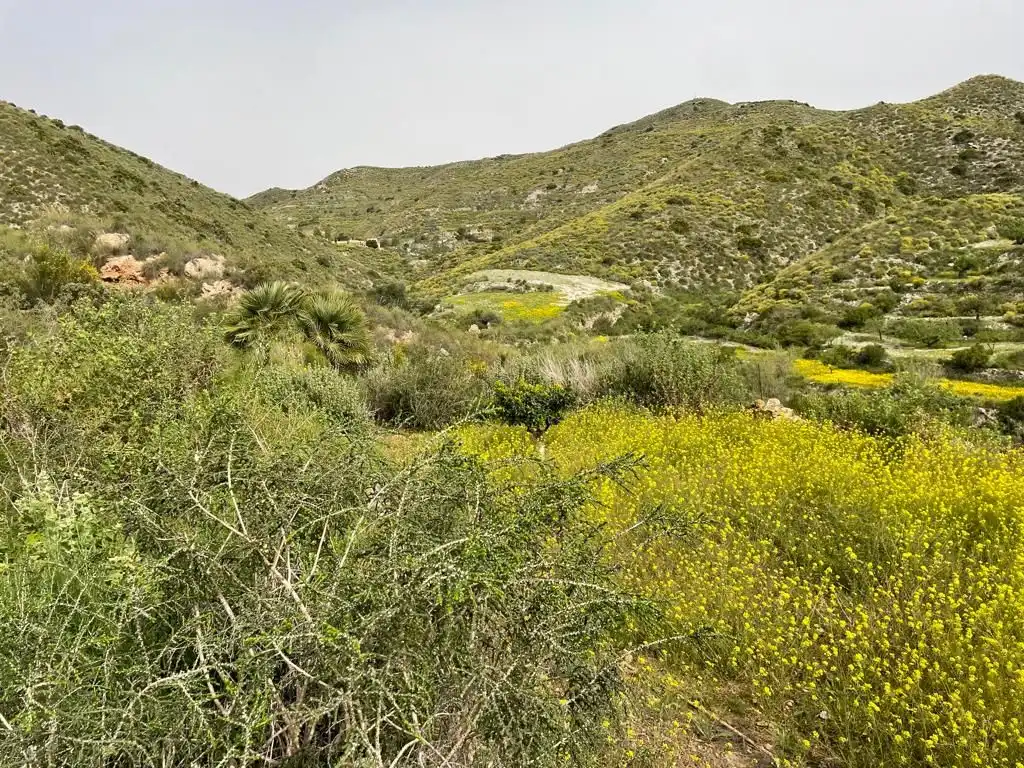 Country homes for sale in Cartagena