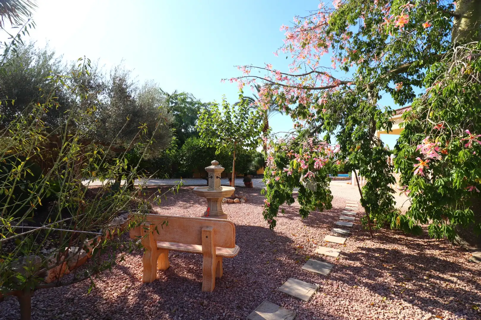 Jardí de Finca rústica en venda en Orihuela amb Terrassa i Piscina