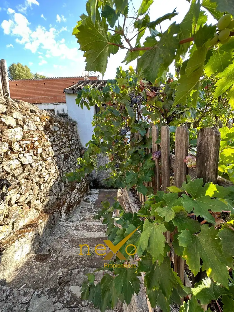 Finca rústica en venda a San Nicolás del Puerto
