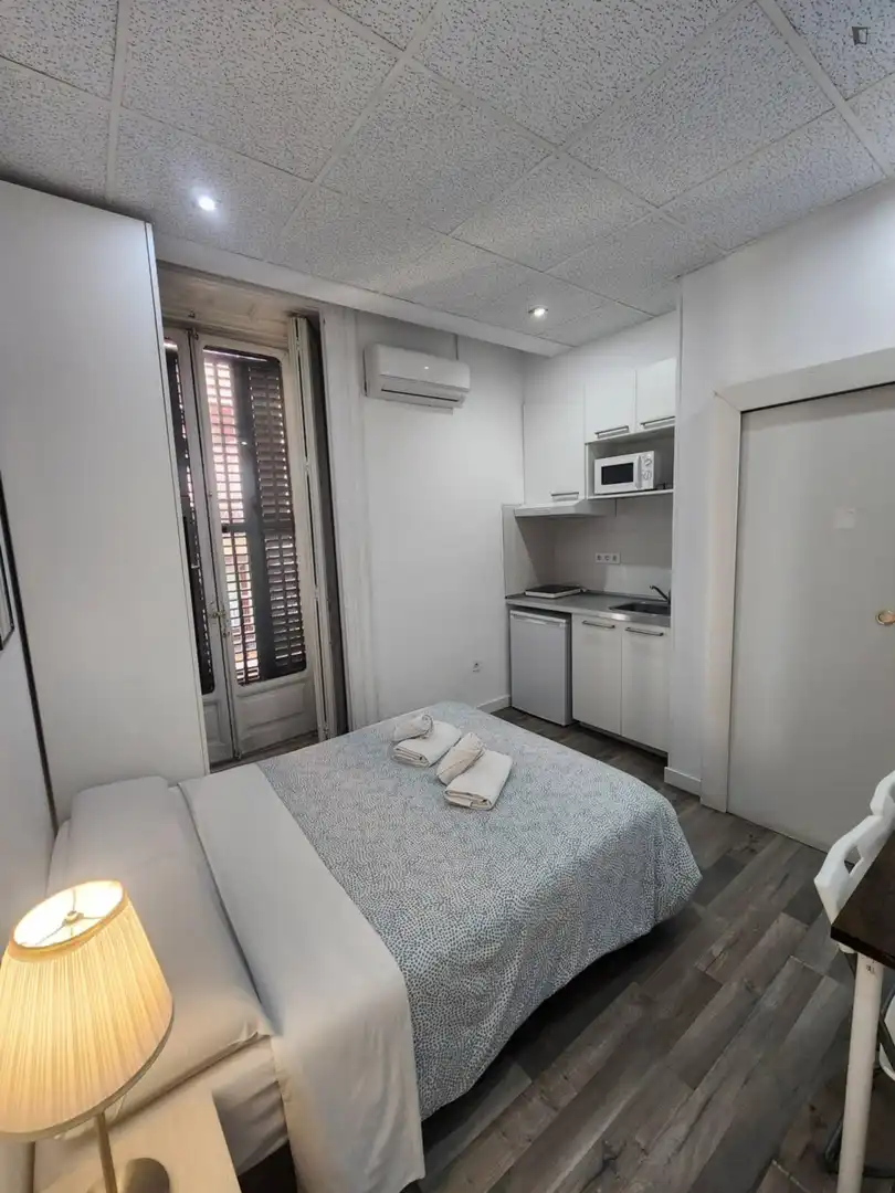 Habitación de Estudio de alquiler en Madrid con Aire acondicionado, Calefacción y Amueblado
