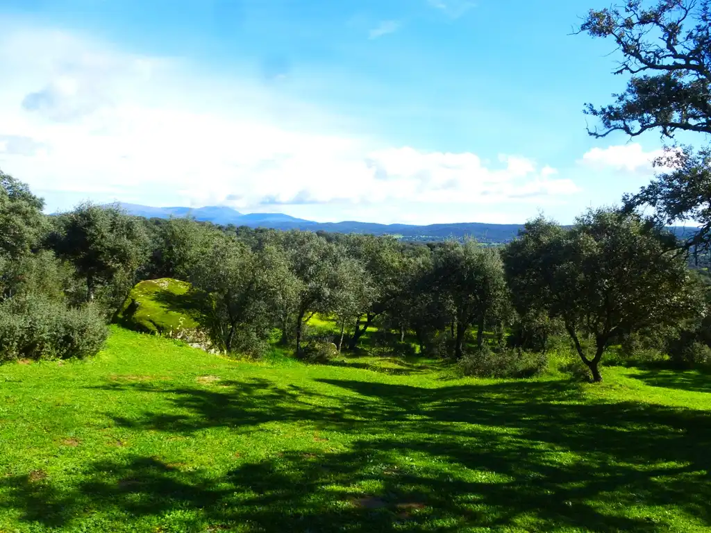 Jardín de Terreno en venta en Mejorada