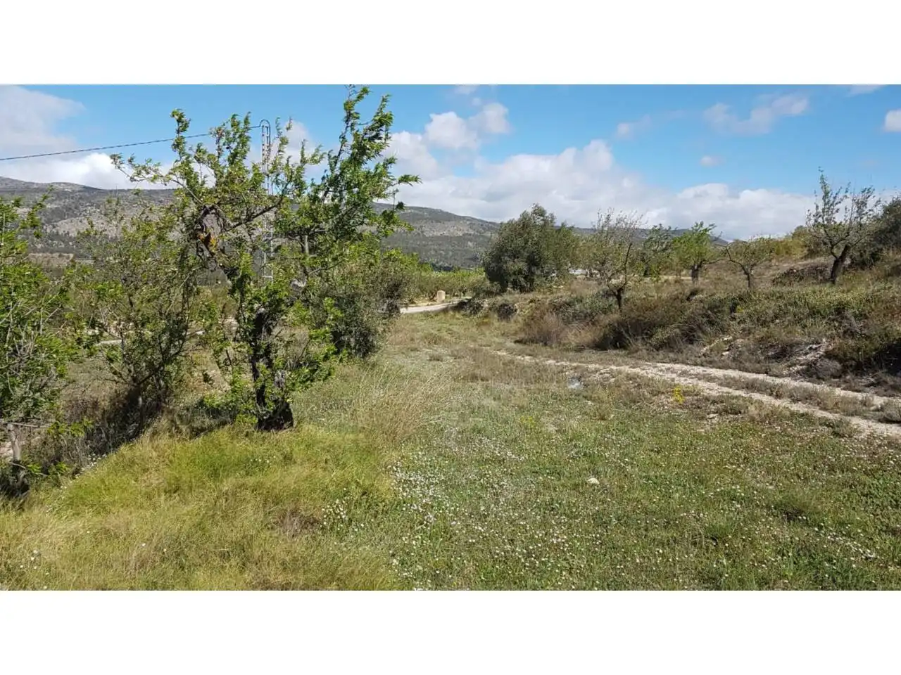 Finca rústica en venda a Pasaje DEVESA, Ibi