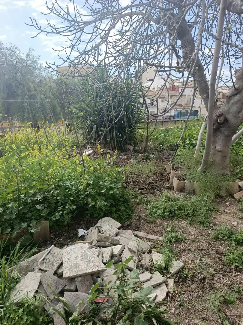Casa con jardín en venta en Aspe Centro, imagen 7