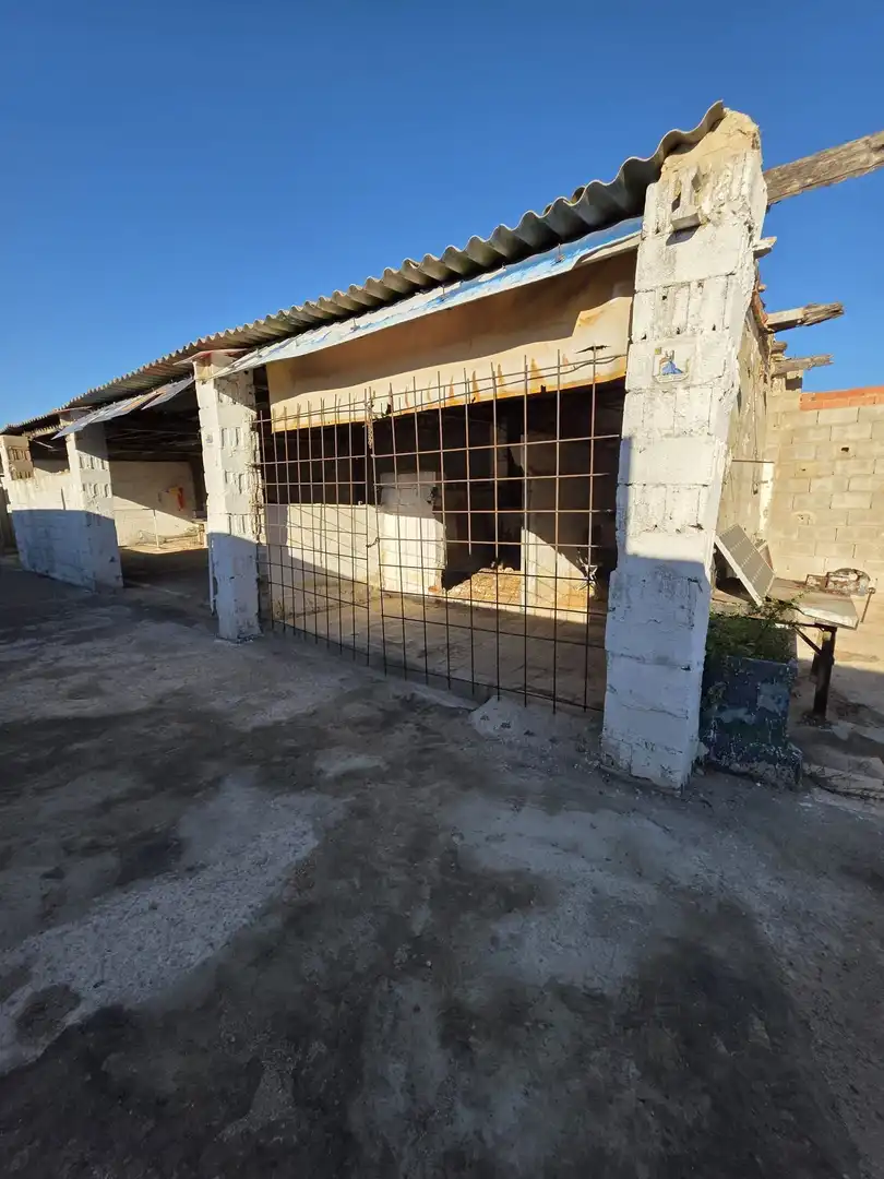 Terrain rustique à vendre à Sueca ciudad, imagen 4