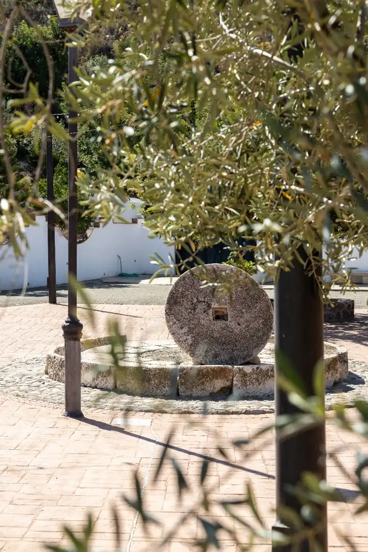 Vista exterior de Finca rústica en venda en Málaga amb Terrassa