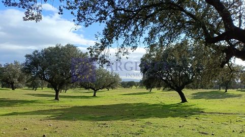 Foto 2 de Casa o chalet en venta en Urbanizacion la Hilera, Navalmoral de la Mata, Cáceres