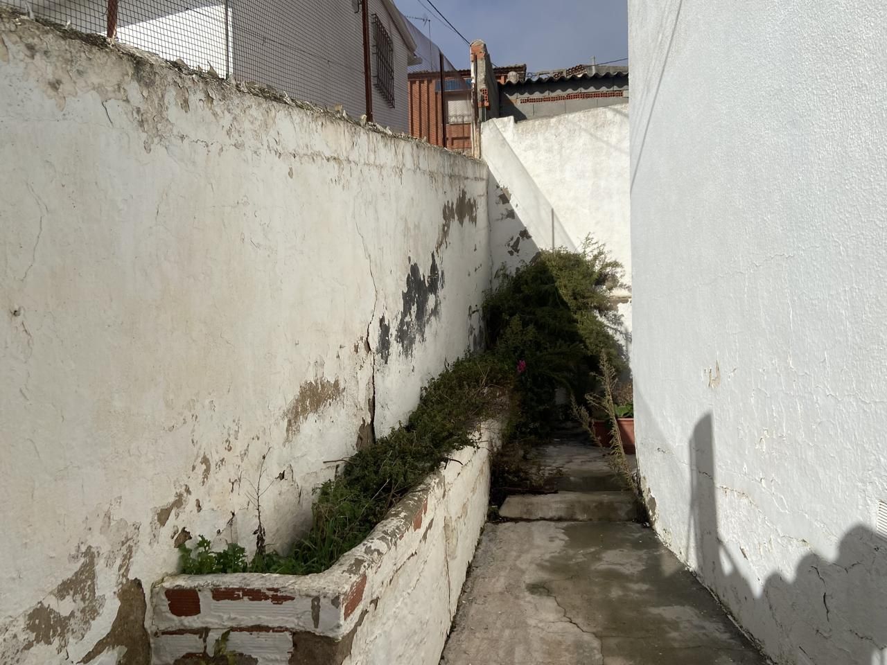 Exterior view of Country house for sale in Montalbo  with Private garden