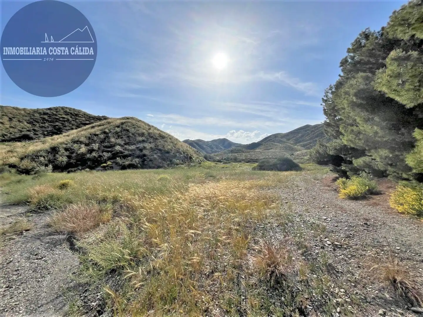 Terreno rustico in vendita a Diseminado Barranco del Lobo 3, imagen 10