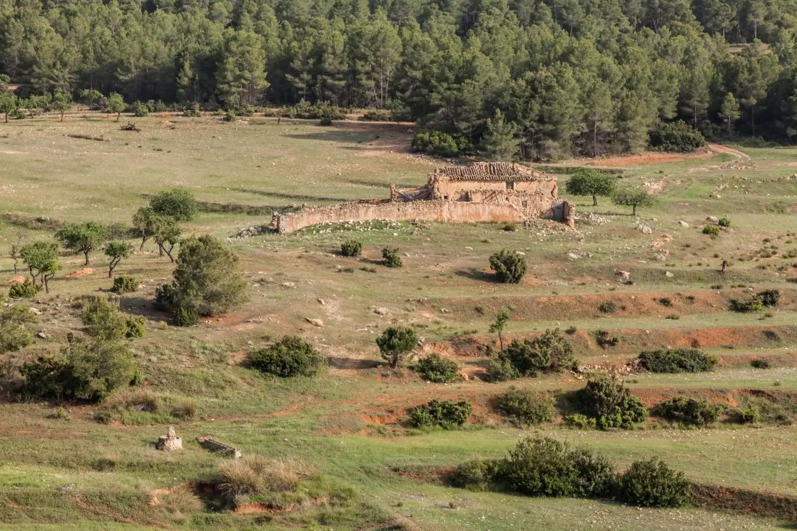 Lands and plots for sale in Mula, imagen 8