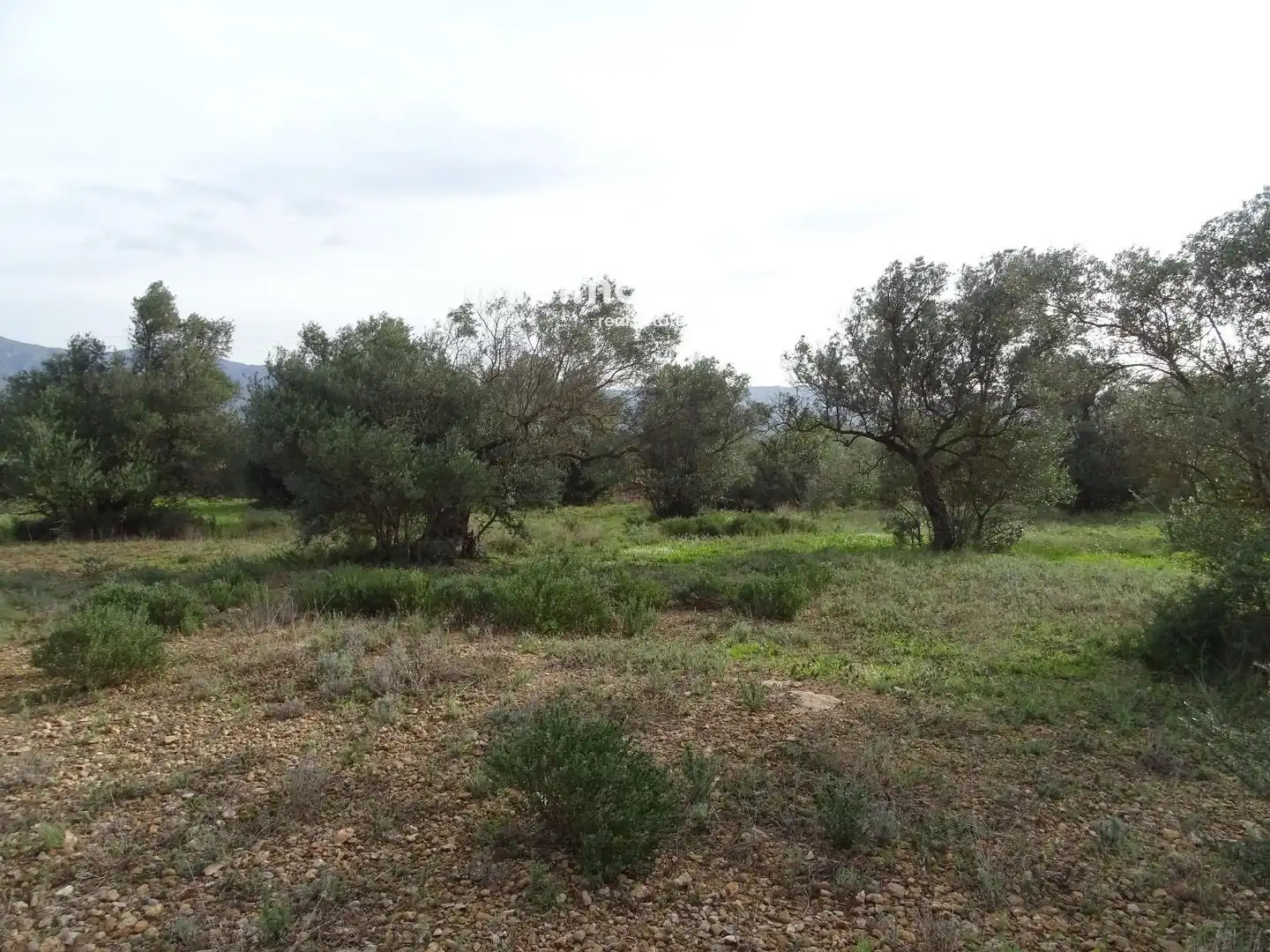 Terrain résidentiel à vendre à 16, imagen 20
