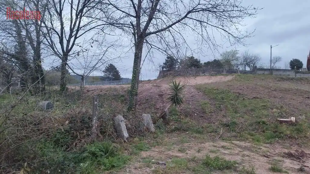 Terreni e lotti in vendita a Rosalino