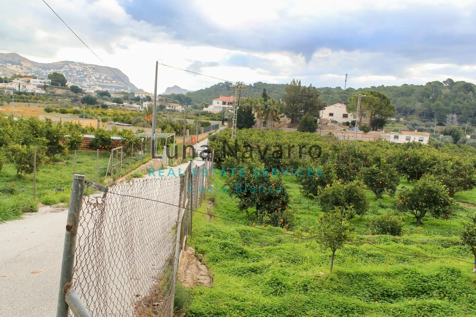 Terreny rústic en venda a Partida Pila, imagen 14
