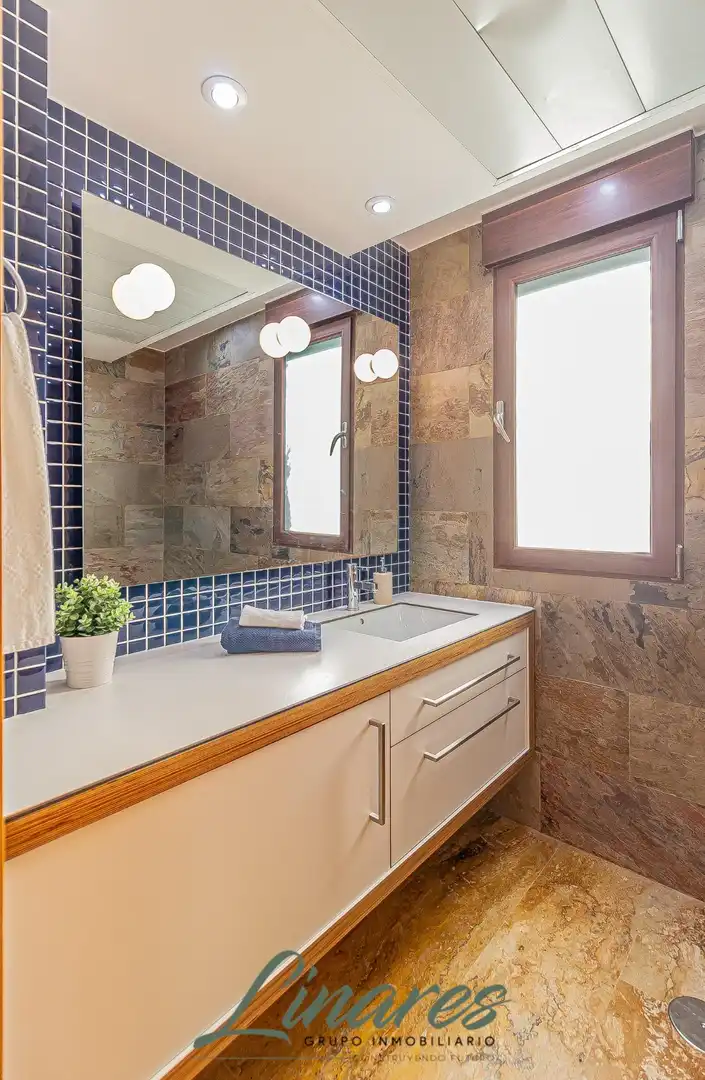 Chalet con piscina en venta en de los Sastres, imagen 62