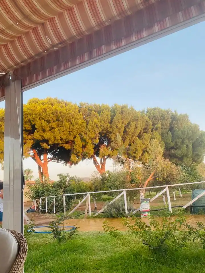 Casa amb piscina en venda a Cañada del cañuelo, imagen 46