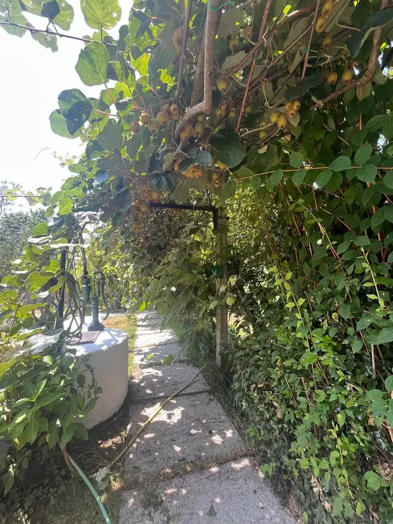 Maison à vendre à Silvas, imagen 72