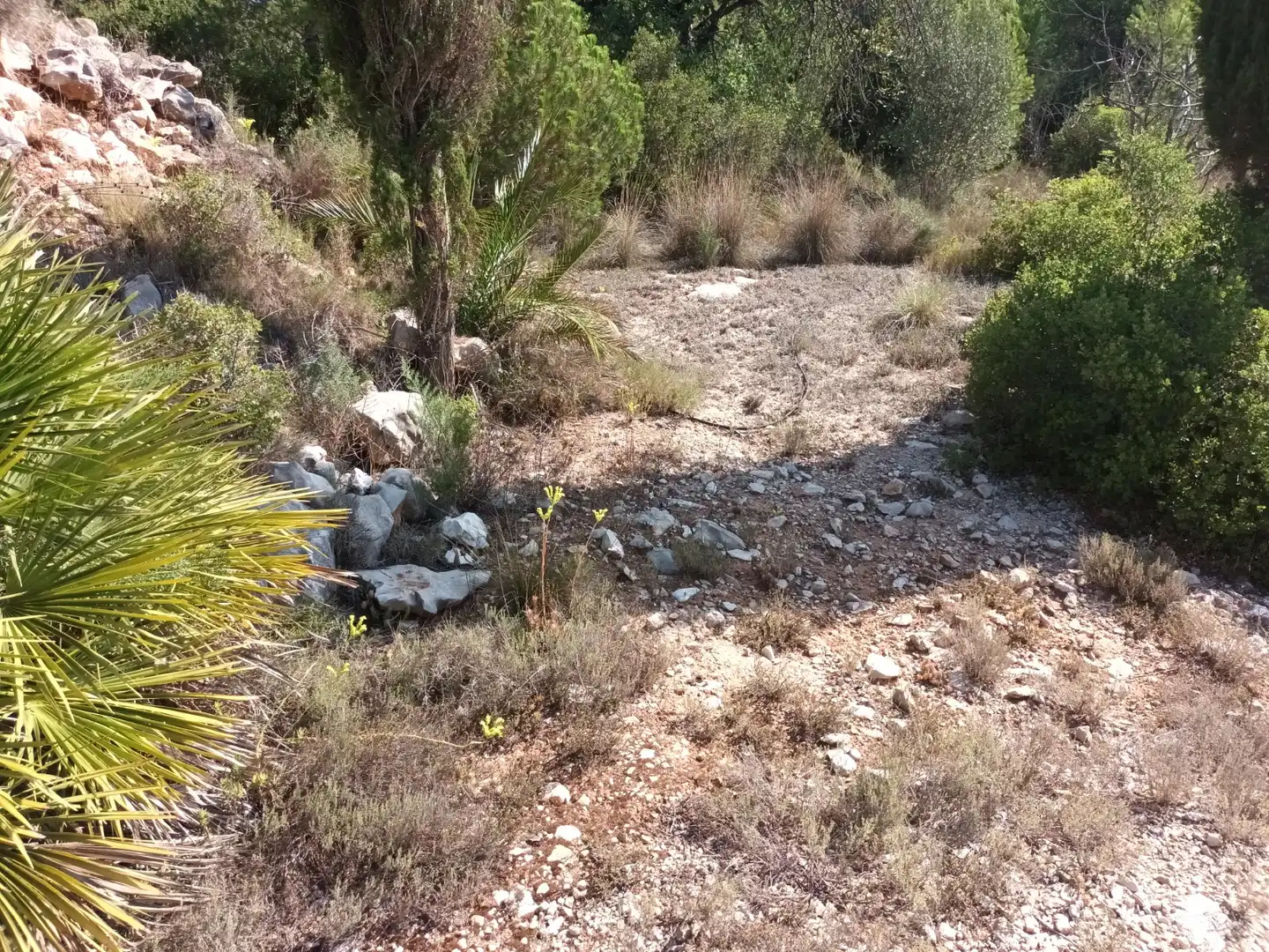 Terreno en venta en Benigànim