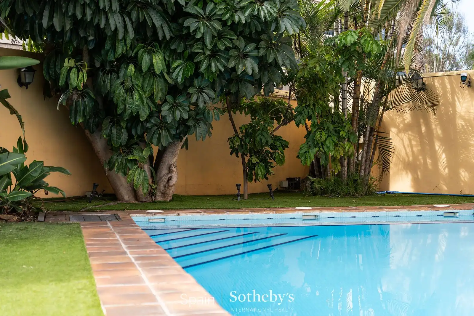 Piscina de Casa o xalet en venda en Puerto de la Cruz amb Aire condicionat, Jardí privat i Terrassa