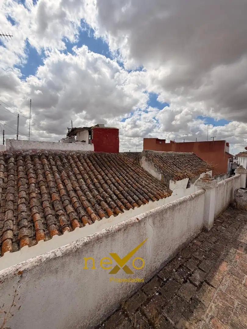 Vista exterior de Casa o chalet en venta en Carmona con Aire acondicionado y Terraza