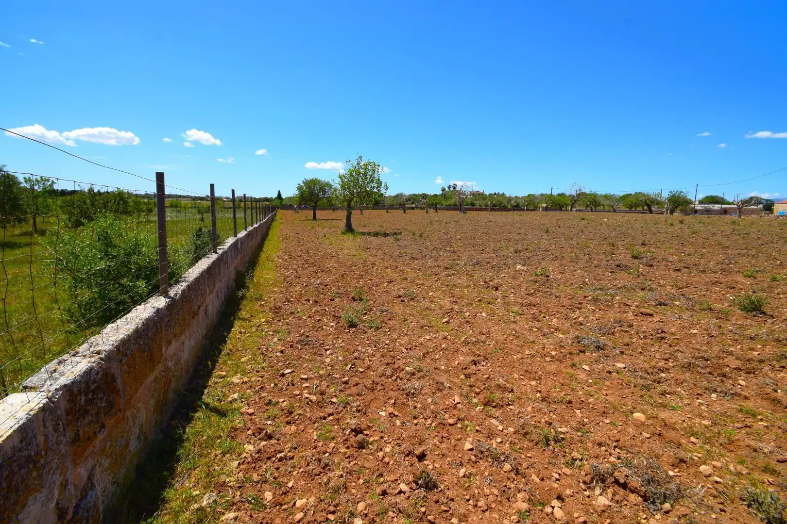 Residential land for sale in Santa Margalida Poble, imagen 6