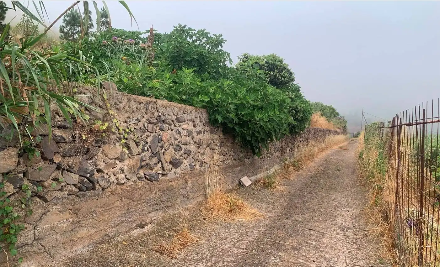 Finca rústica en venta en Gáldar con Trastero