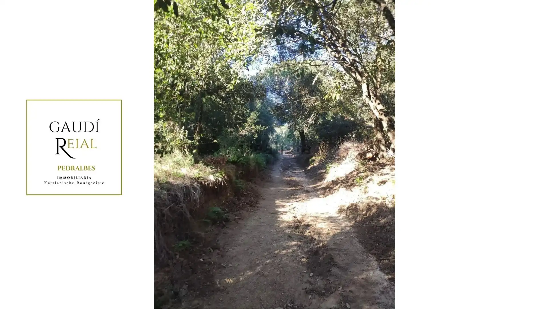 Rural land for sale in Arenys de Munt, imagen 2