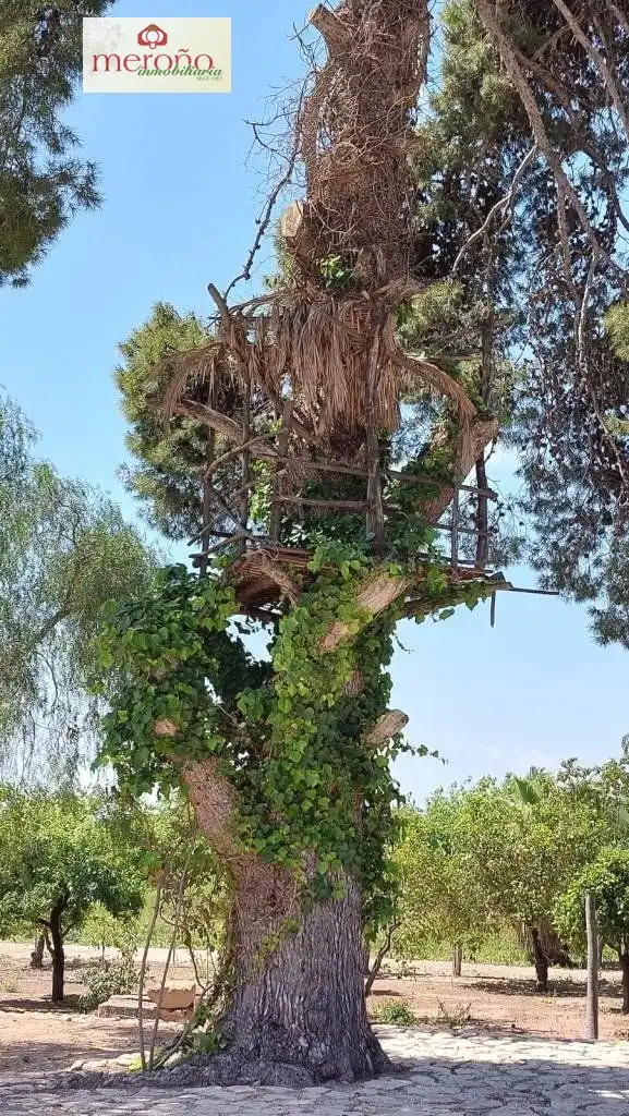 Jardí de Casa o xalet en venda en Elche / Elx amb Aire condicionat, Jardí privat i Terrassa