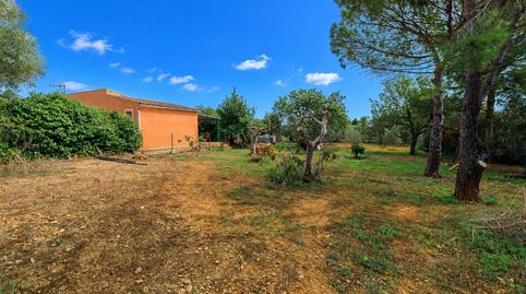 Foto 2 de Casa o xalet en venda a Llucmajor pueblo, Llucmajor