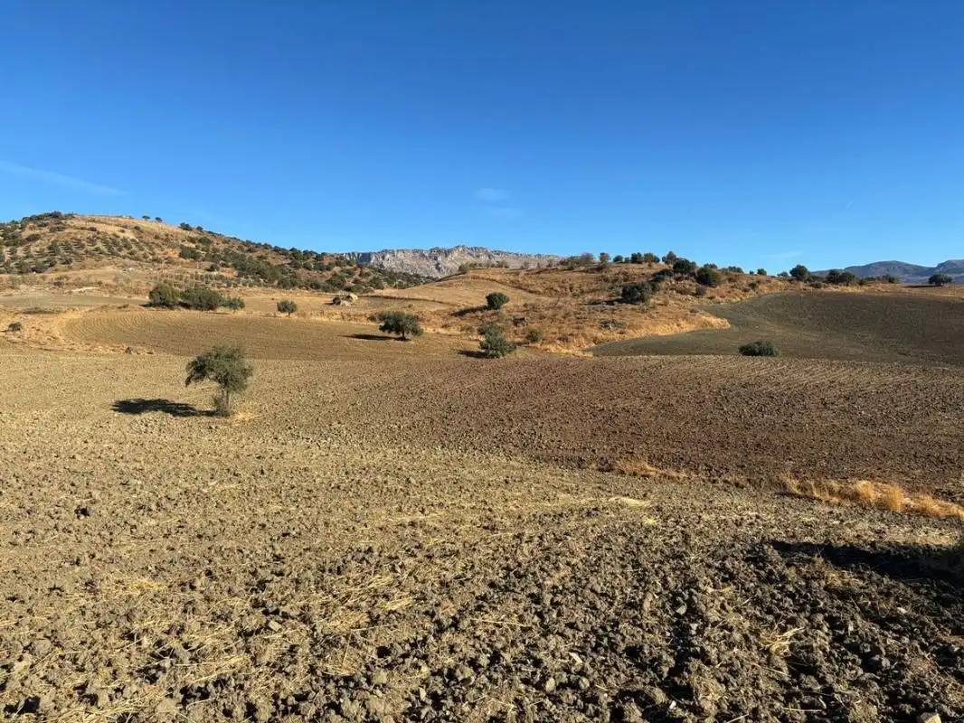 Terreni e lotti in vendita a Polígono 7 Parcela, imagen 11