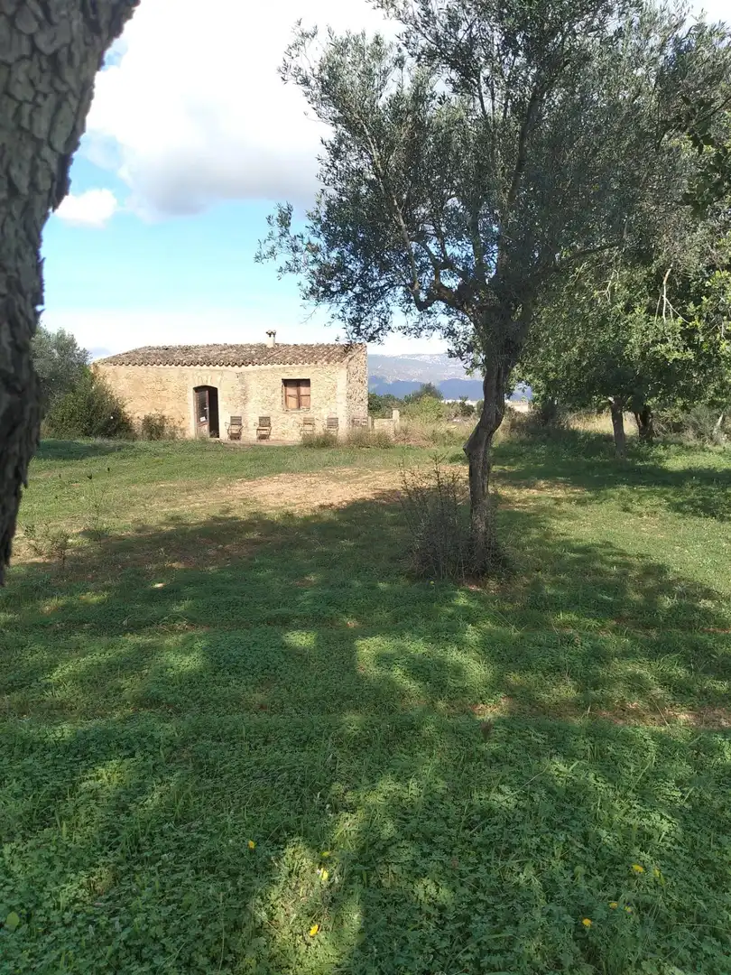 Terreny rústic en venda a Santa María del Camí