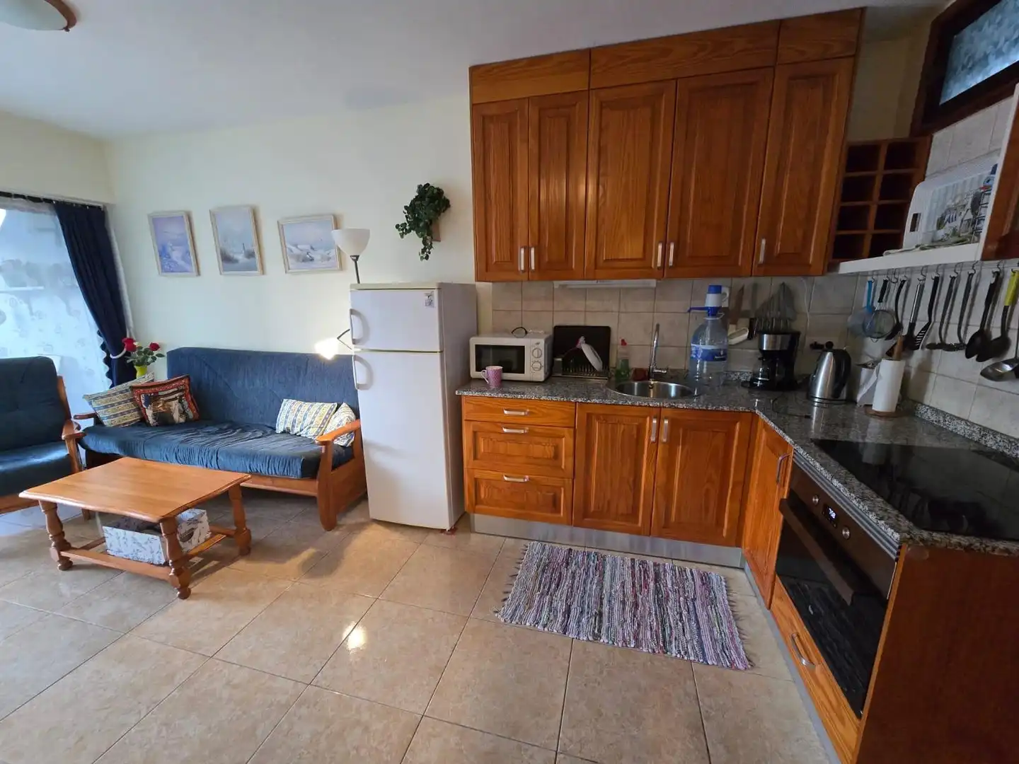 Kitchen of Apartments for rent in Mogán  with Furnished, Balcony and Alarm