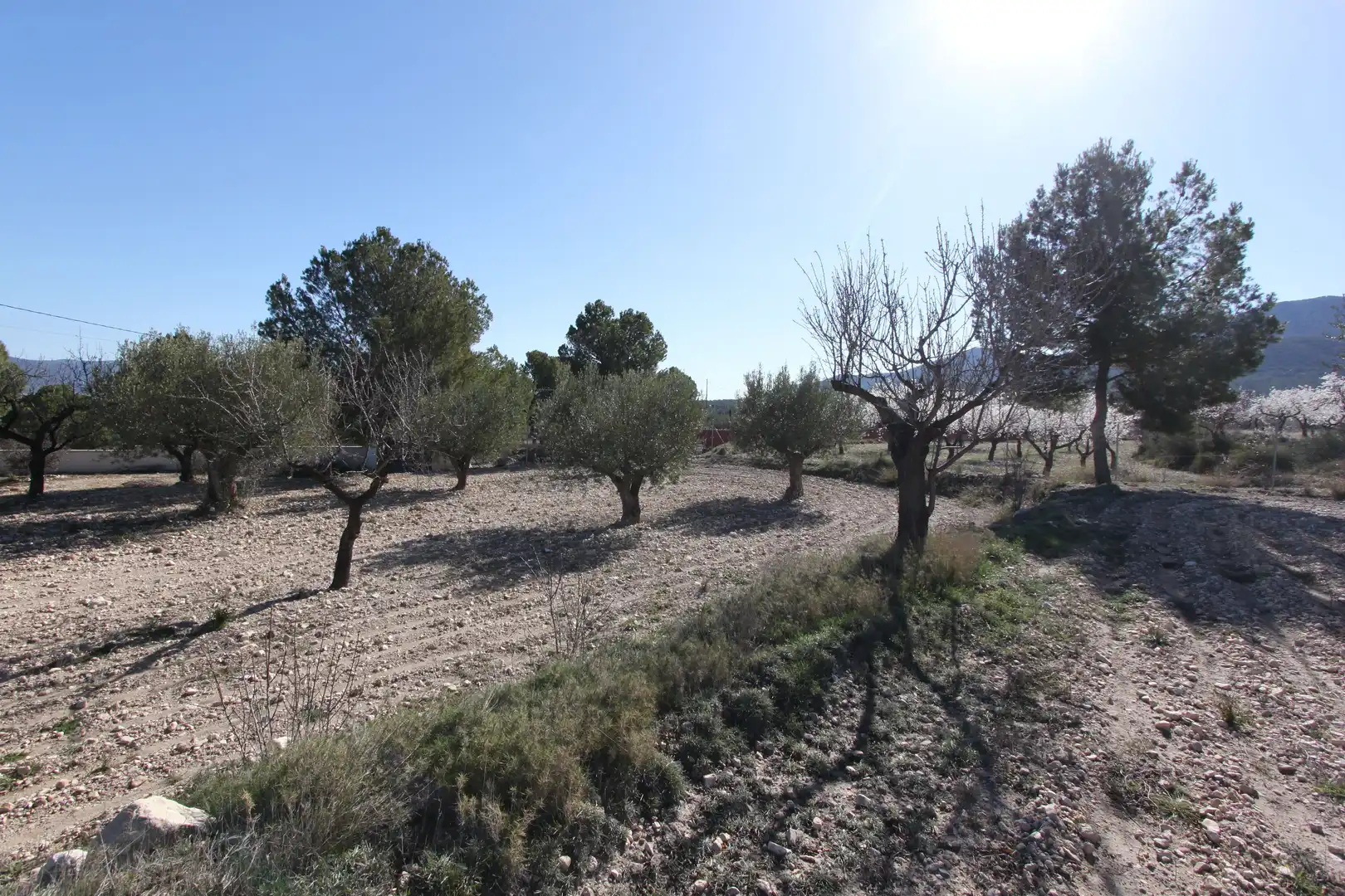 Detached house for sale in Carretera Petrer-Castalla, Castalla, l'Alcoià, Alacant / Alicante, Valencian Community, 03420, Spain, imagen 11